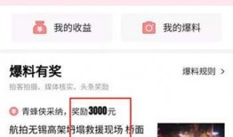 百色头条最新爆料,揭秘重大事件背后惊人真相！”