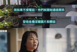 萍乡女人爆料视频曝光事件,真相与舆论的漩涡